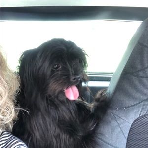 Meet your Posher, Shelly